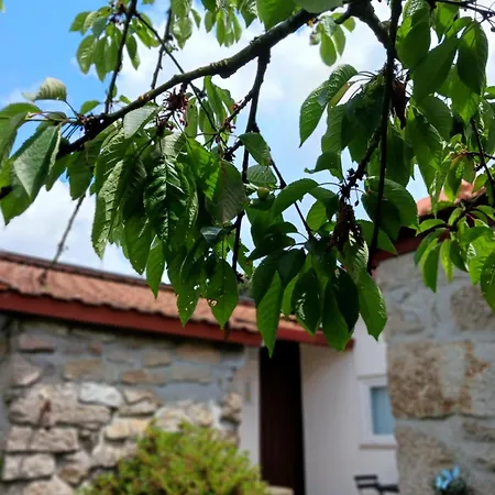 Pequena Casa Rustica Com Piscina *