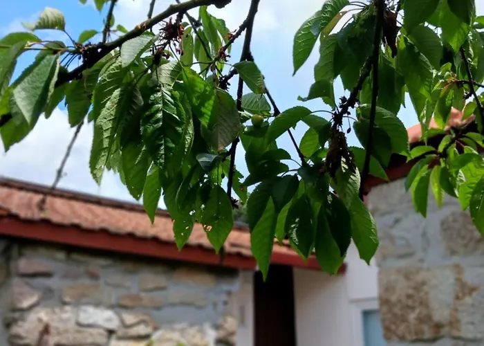 Pequena Casa Rustica Com Piscina *